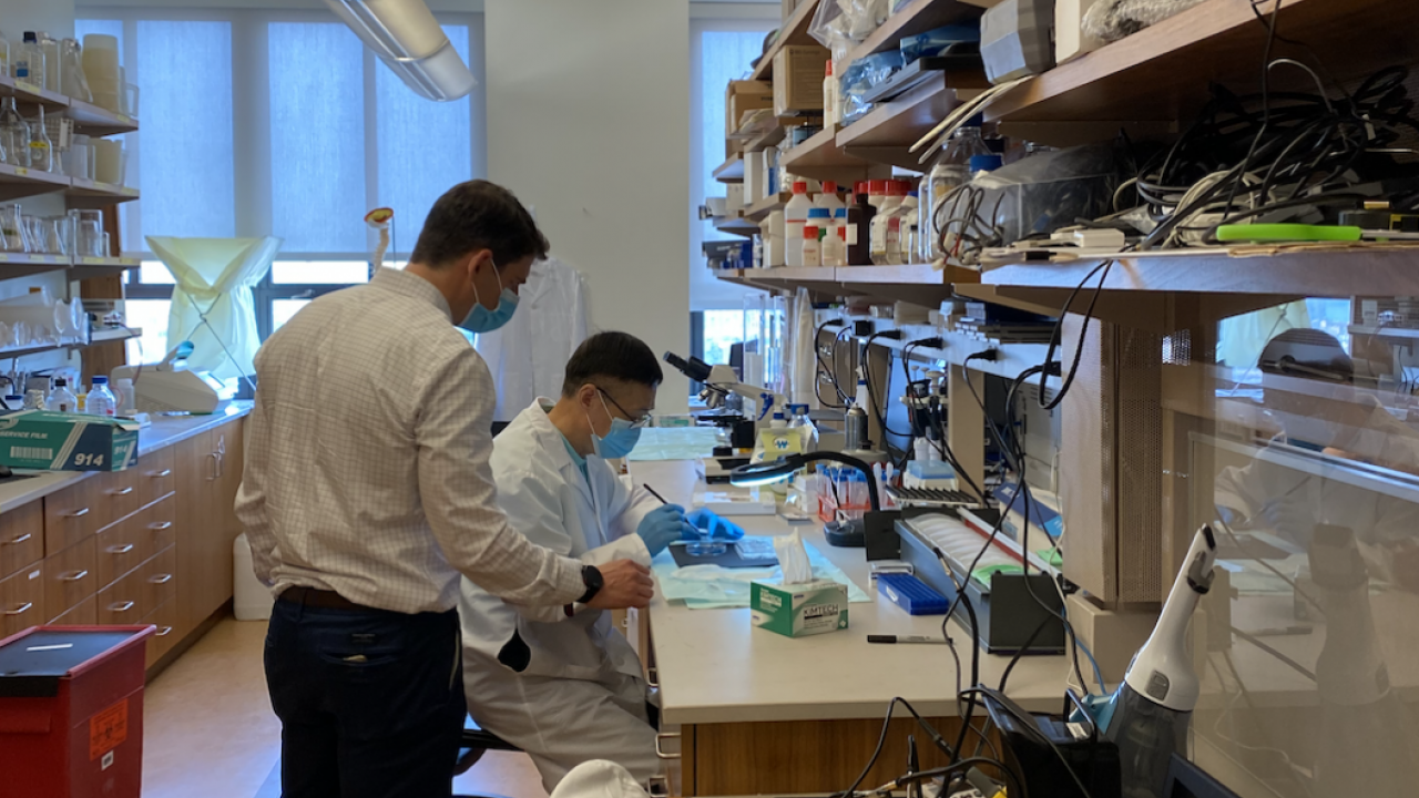 The Movement Recovery Lab Receives Small Business Technology Transfer