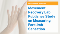Semi-automated testing of vibrotactile sensitivity in the rat forelimb